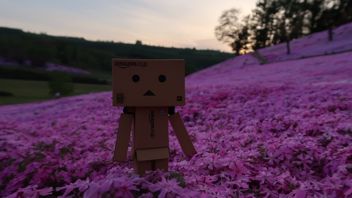 f:id:shirokumapanda:20190710010035j:plain
