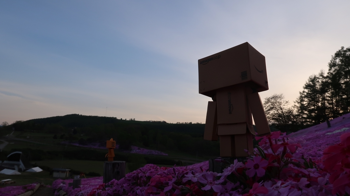 f:id:shirokumapanda:20190710010047j:plain
