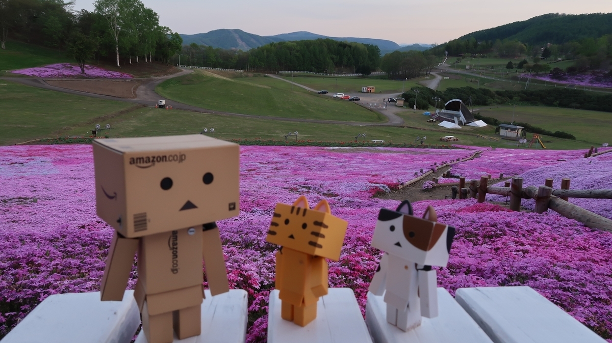 f:id:shirokumapanda:20190710010104j:plain