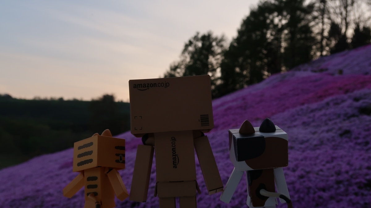 f:id:shirokumapanda:20190710010109j:plain