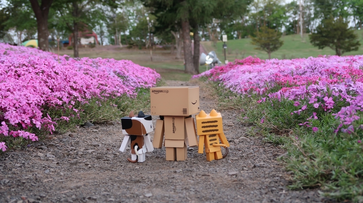 f:id:shirokumapanda:20190710010125j:plain