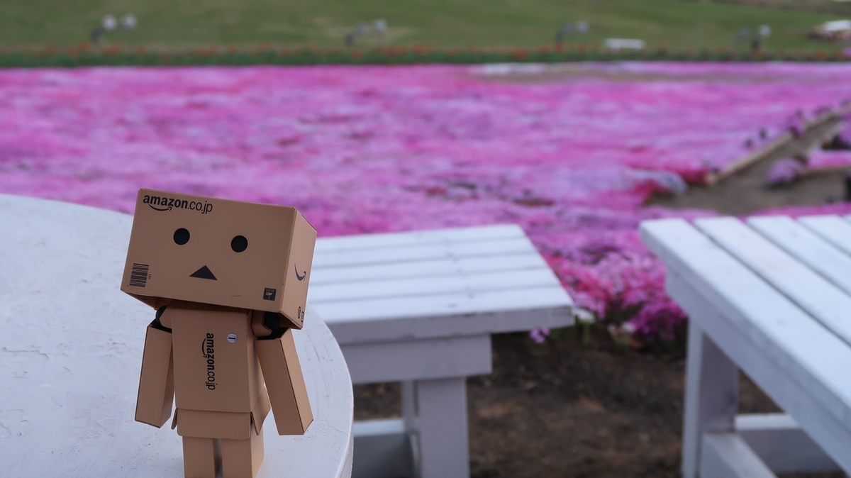 f:id:shirokumapanda:20190710010130j:plain