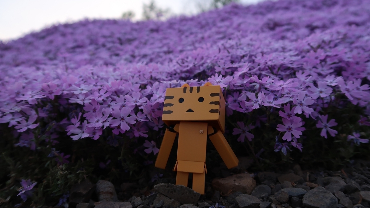 f:id:shirokumapanda:20190710010142j:plain