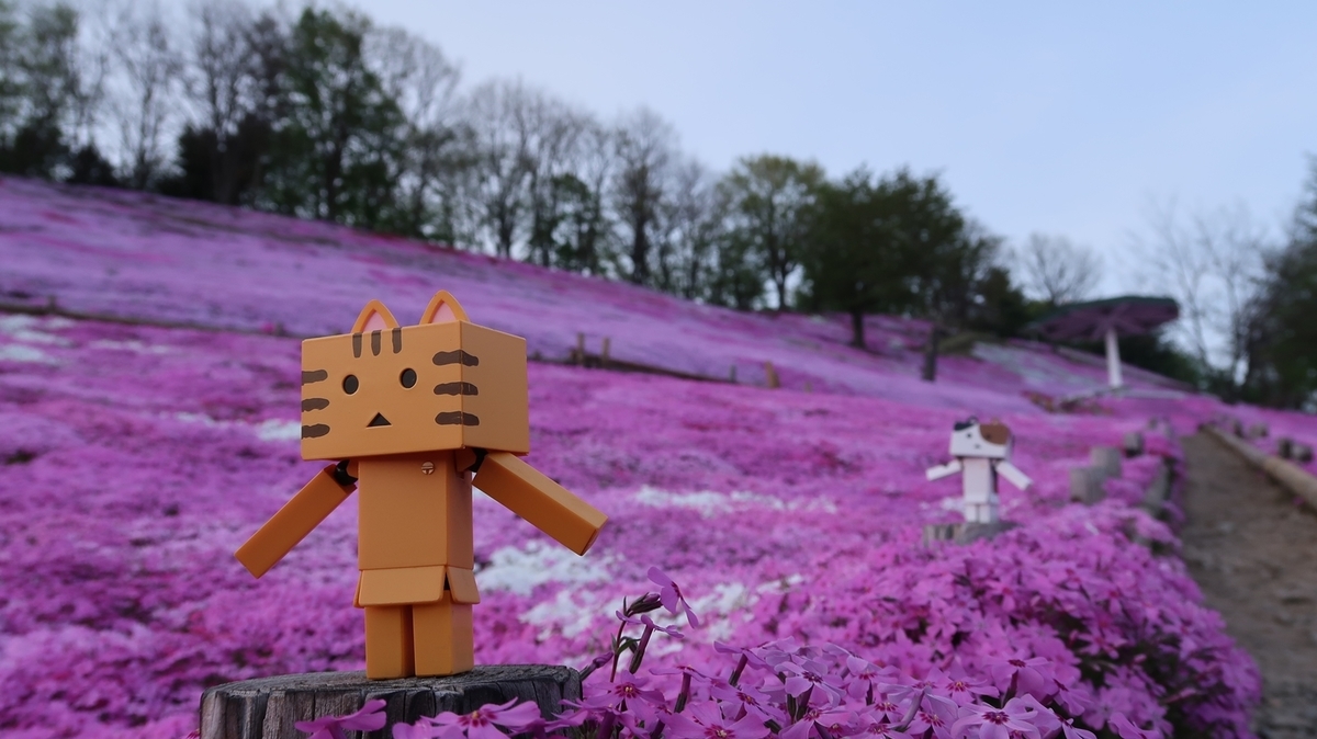 f:id:shirokumapanda:20190710010147j:plain