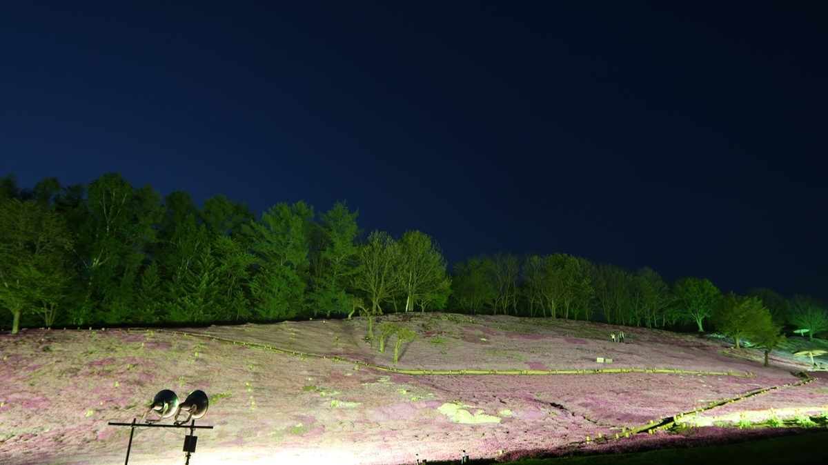 f:id:shirokumapanda:20190710010211j:plain