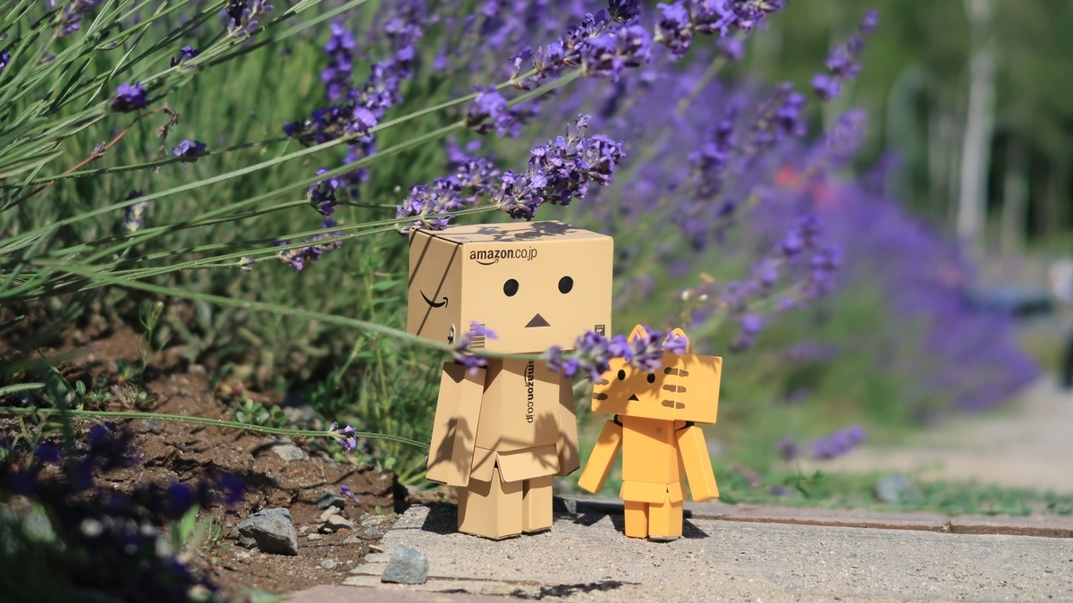 f:id:shirokumapanda:20190715233509j:plain f:id:shirokumapanda:20190715233509j:plain