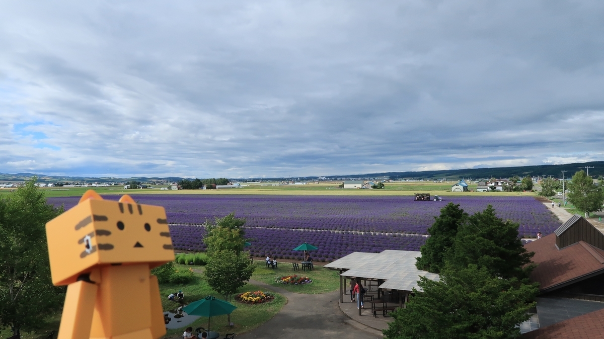 f:id:shirokumapanda:20190715233522j:plain f:id:shirokumapanda:20190715233522j:plain