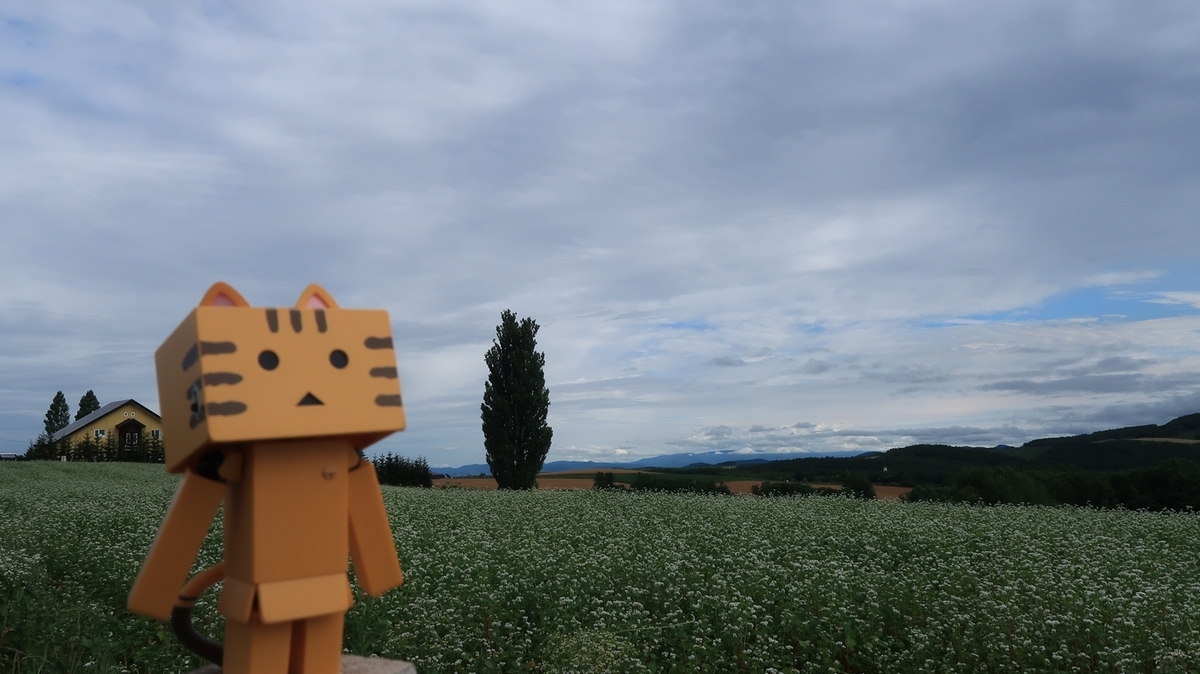 f:id:shirokumapanda:20190716224718j:plain