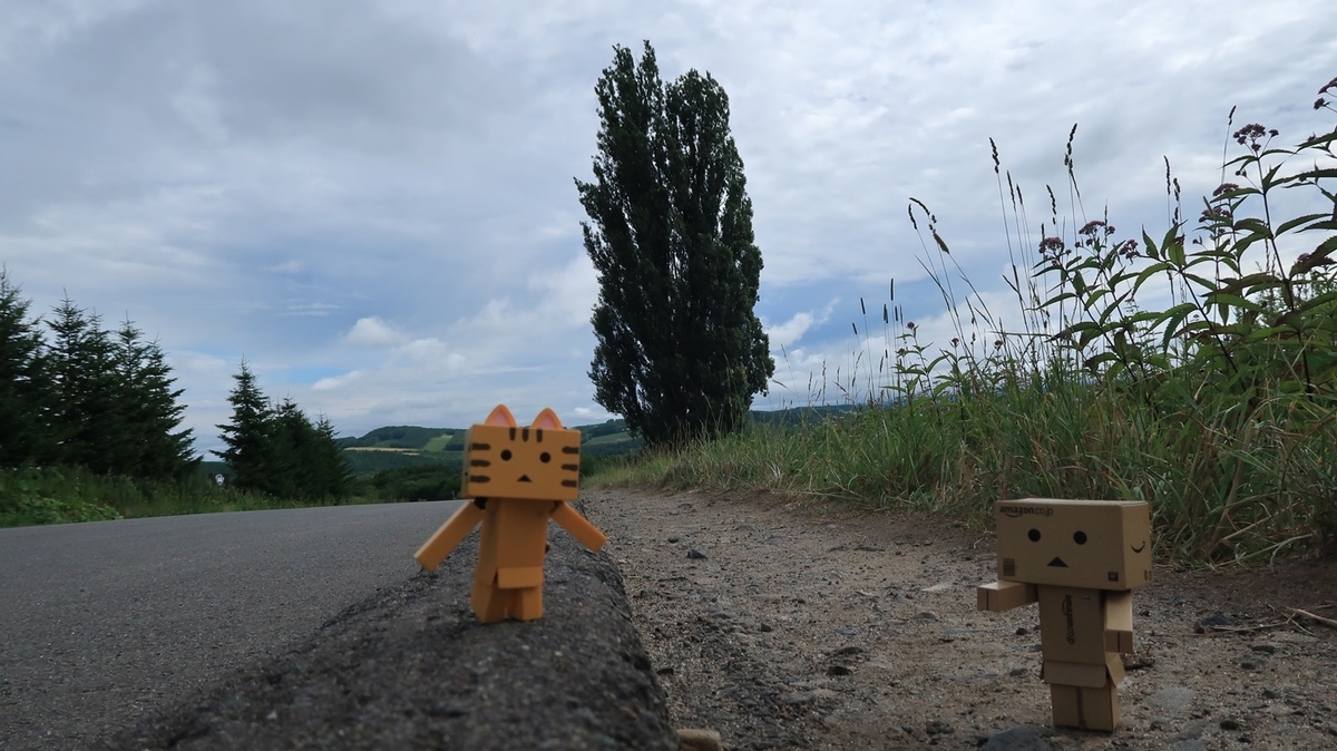 f:id:shirokumapanda:20190716224731j:plain