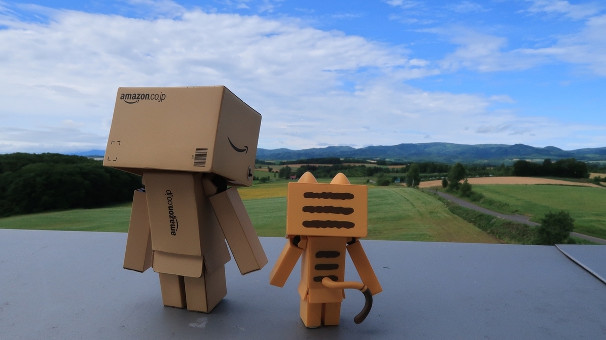 f:id:shirokumapanda:20190716224746j:plain