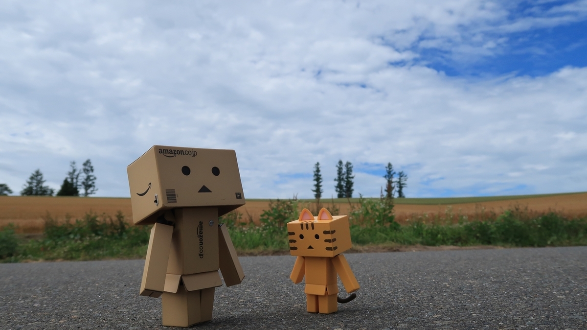 f:id:shirokumapanda:20190716224816j:plain