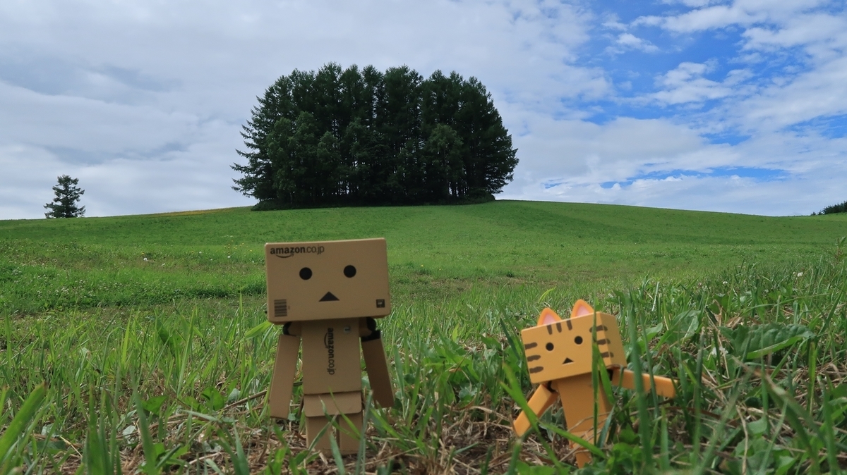 f:id:shirokumapanda:20190716224831j:plain
