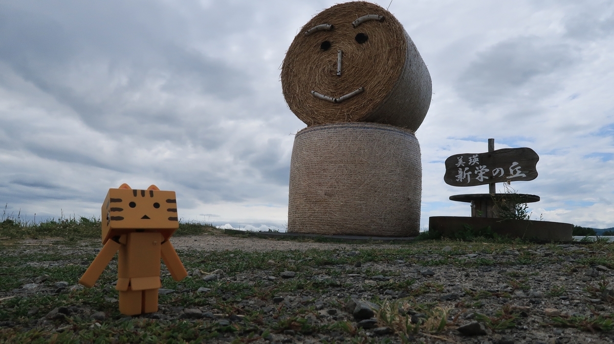f:id:shirokumapanda:20190716224925j:plain