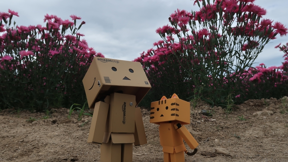 f:id:shirokumapanda:20190716225006j:plain