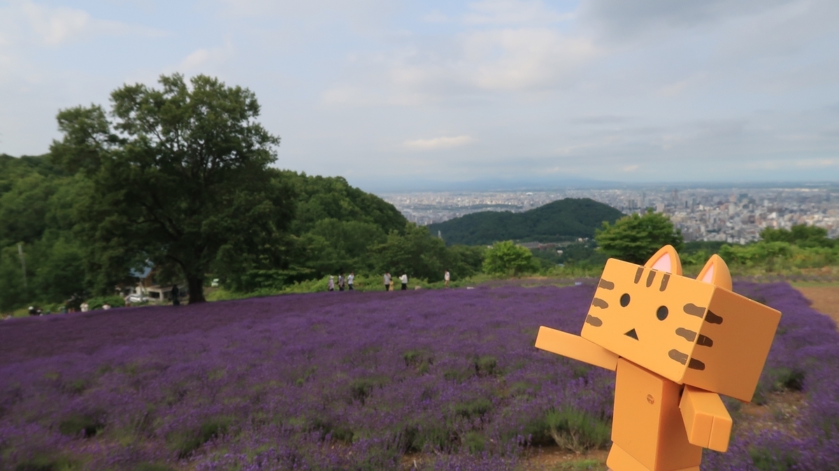 f:id:shirokumapanda:20190721015850j:plain
