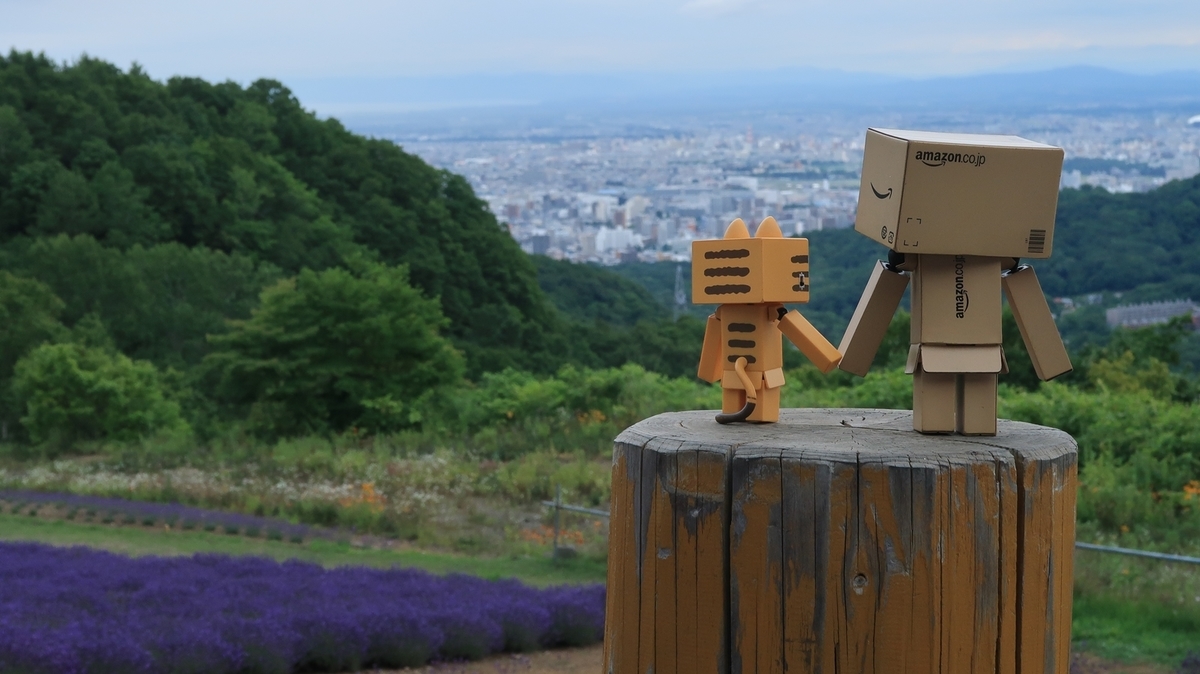 f:id:shirokumapanda:20190721015912j:plain