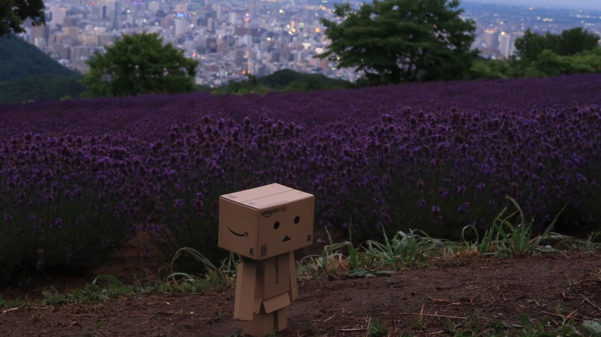 f:id:shirokumapanda:20190721015917j:plain