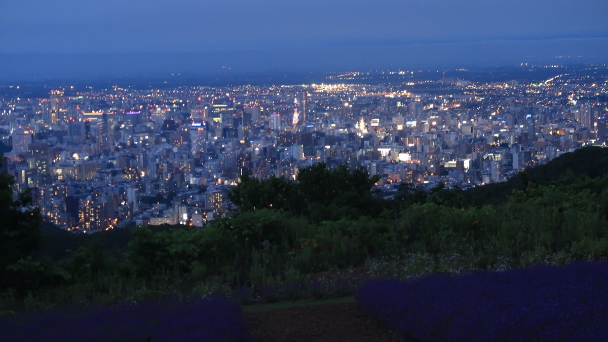 f:id:shirokumapanda:20190721015922j:plain