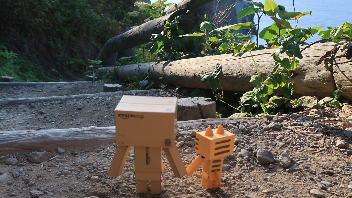 f:id:shirokumapanda:20190722235113j:plain f:id:shirokumapanda:20190722235113j:plain