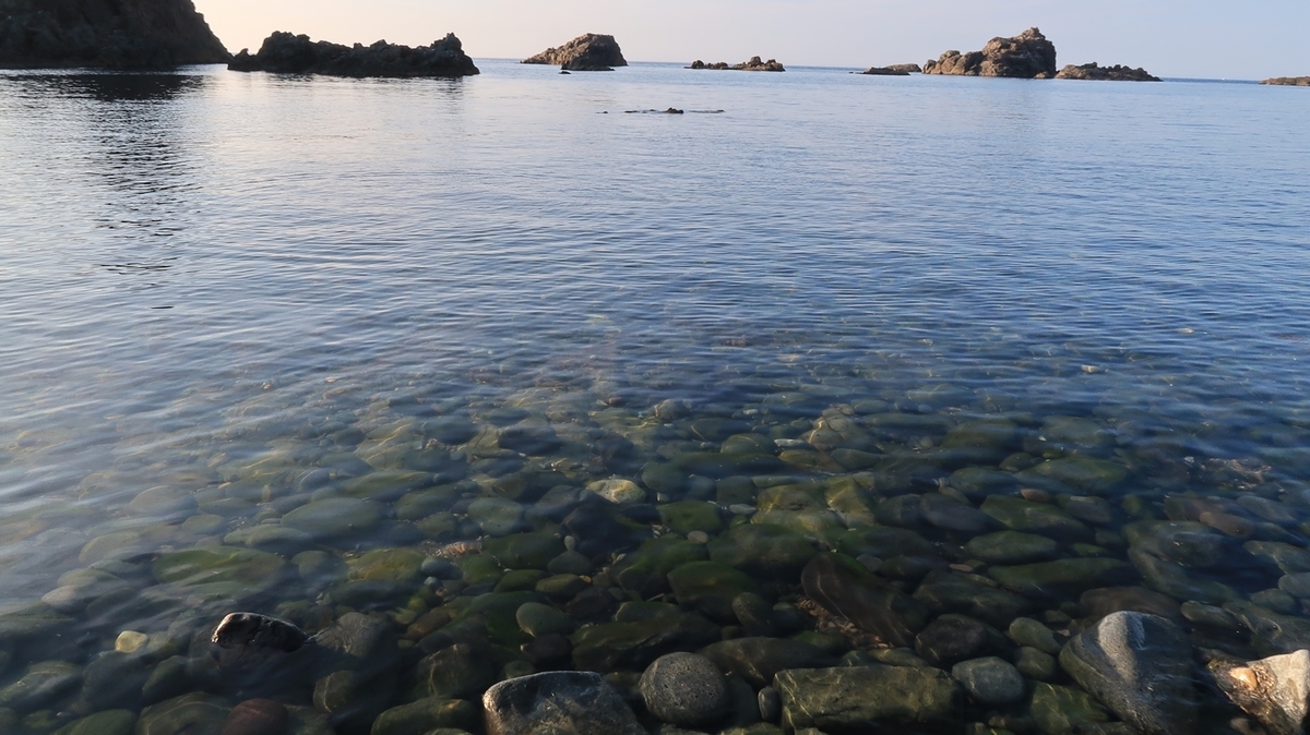 f:id:shirokumapanda:20190722235137j:plain f:id:shirokumapanda:20190722235137j:plain