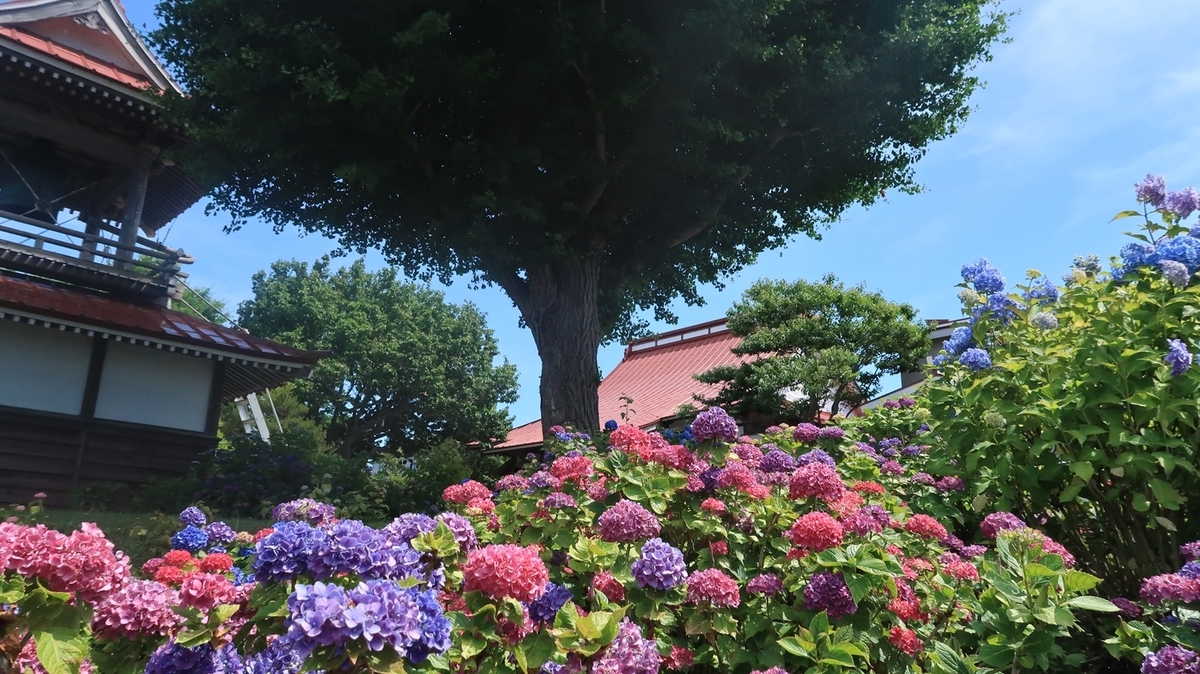 f:id:shirokumapanda:20190722235200j:plain f:id:shirokumapanda:20190722235200j:plain