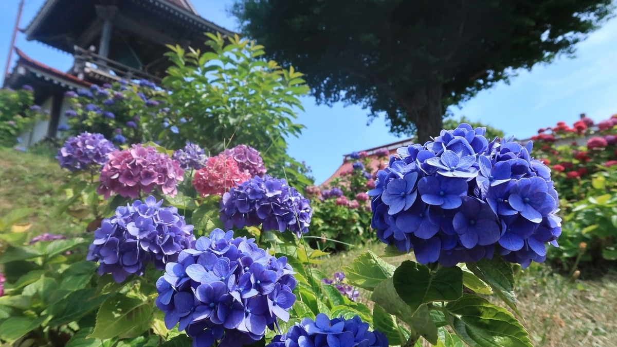 f:id:shirokumapanda:20190722235206j:plain f:id:shirokumapanda:20190722235206j:plain