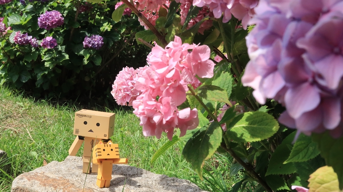 f:id:shirokumapanda:20190722235212j:plain f:id:shirokumapanda:20190722235212j:plain