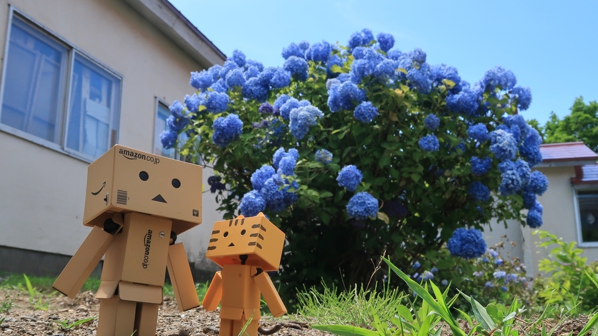 f:id:shirokumapanda:20190722235225j:plain f:id:shirokumapanda:20190722235225j:plain