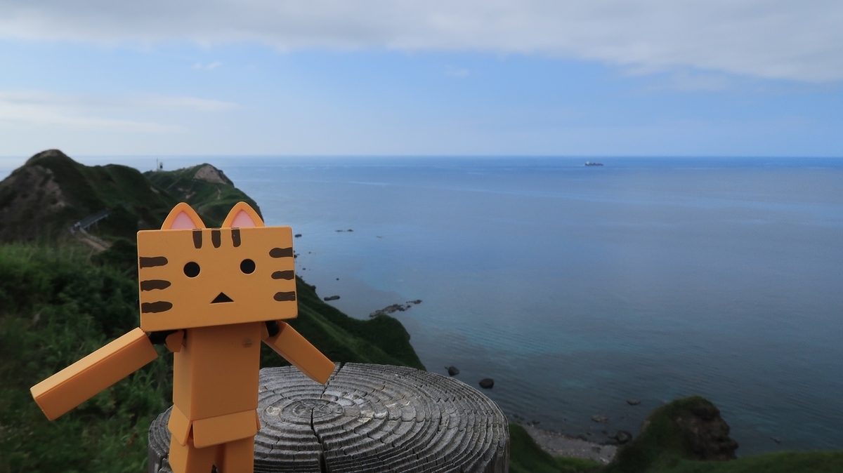 f:id:shirokumapanda:20190722235248j:plain f:id:shirokumapanda:20190722235248j:plain