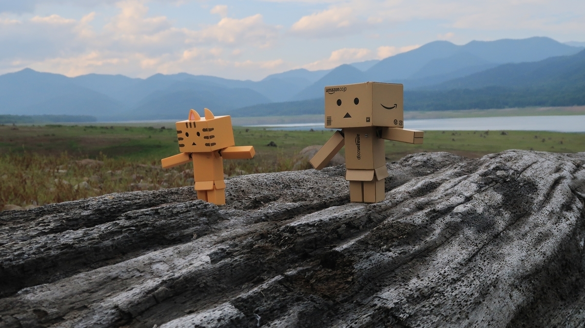 f:id:shirokumapanda:20190728013534j:plain f:id:shirokumapanda:20190728013534j:plain