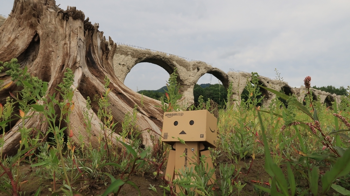 f:id:shirokumapanda:20190728013630j:plain f:id:shirokumapanda:20190728013630j:plain