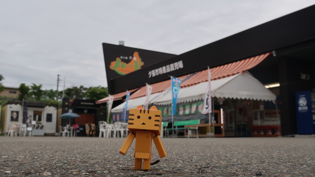 f:id:shirokumapanda:20190730014759j:plain