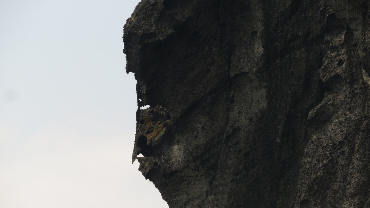 f:id:shirokumapanda:20190802010845j:plain