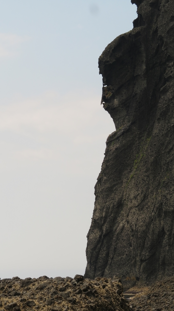 f:id:shirokumapanda:20190802010853j:plain