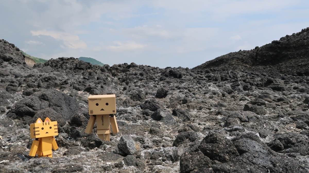 f:id:shirokumapanda:20190802010926j:plain