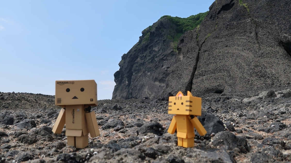 f:id:shirokumapanda:20190802011003j:plain