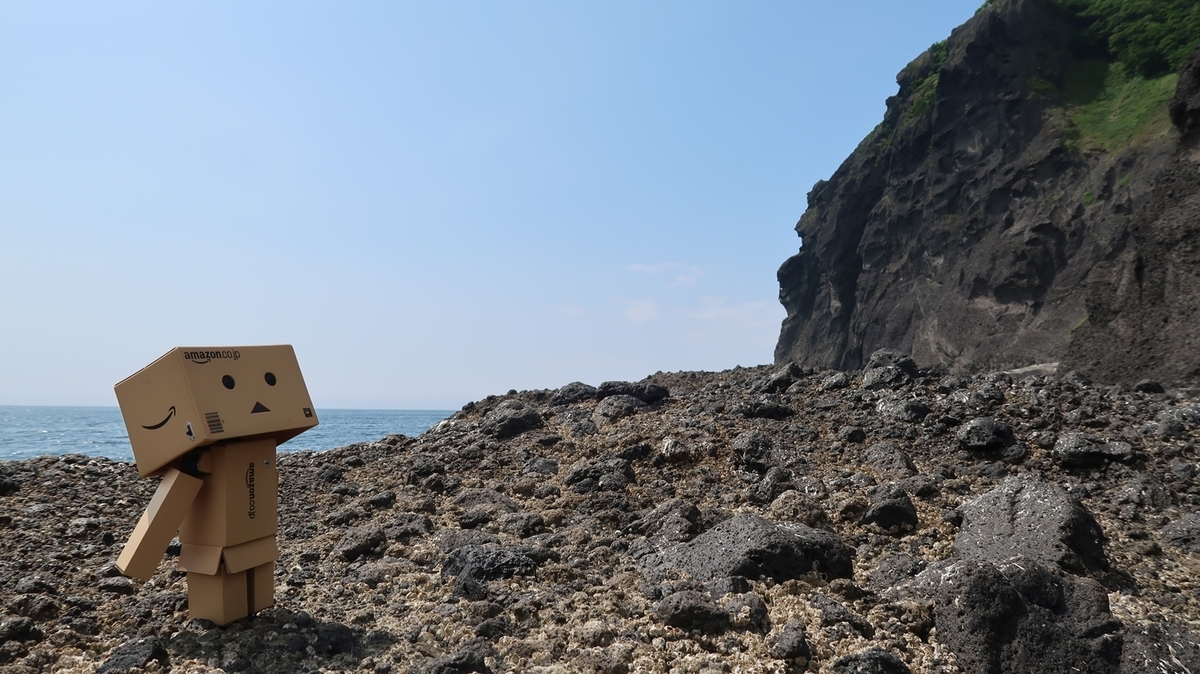 f:id:shirokumapanda:20190802011015j:plain