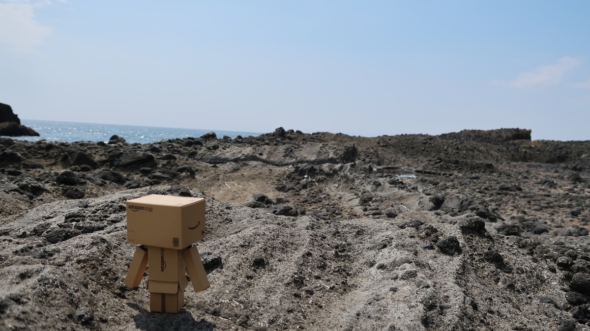 f:id:shirokumapanda:20190802011027j:plain