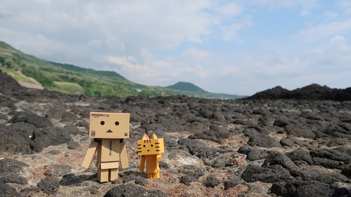 f:id:shirokumapanda:20190802011035j:plain