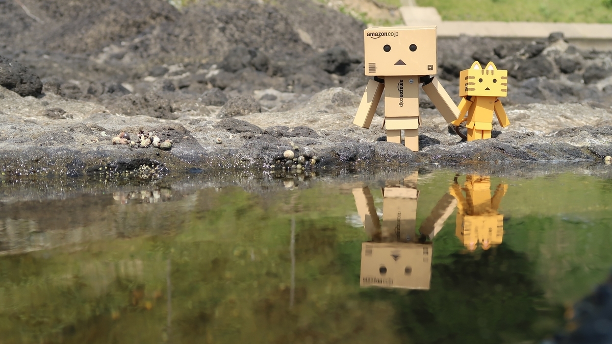 f:id:shirokumapanda:20190802011043j:plain