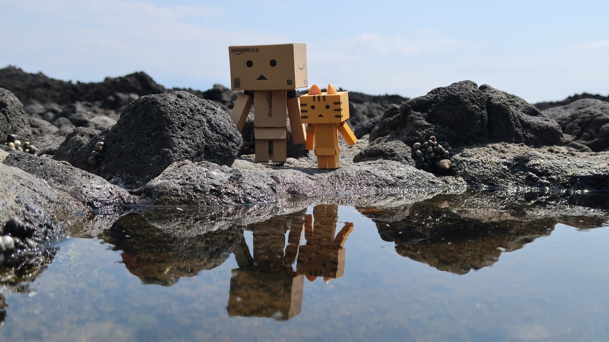 f:id:shirokumapanda:20190802011055j:plain