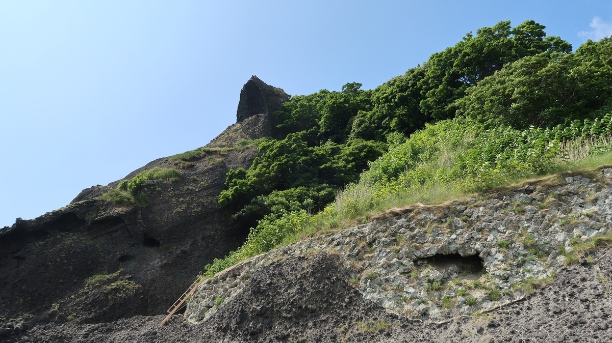 f:id:shirokumapanda:20190802011100j:plain