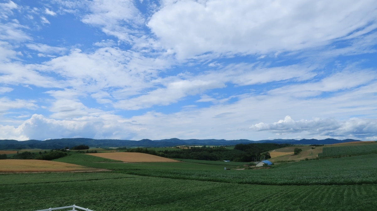 f:id:shirokumapanda:20190804005100j:plain