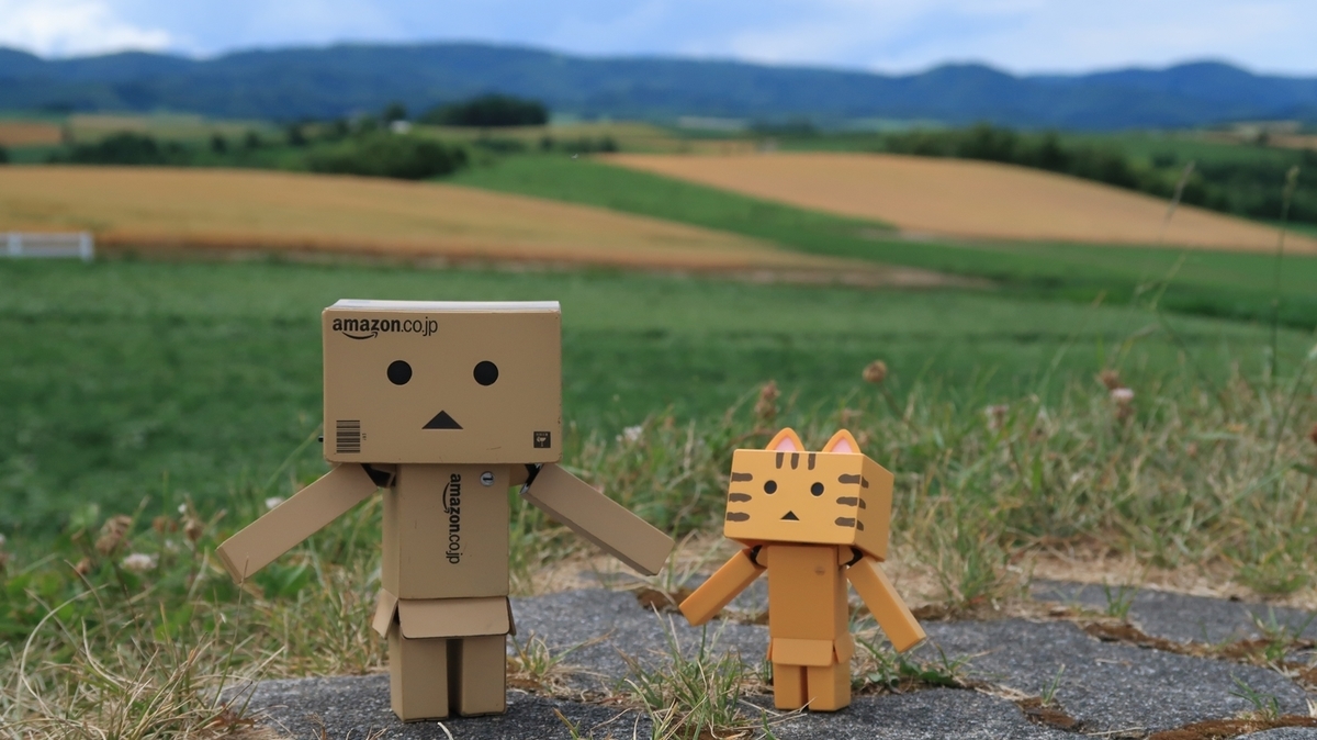 f:id:shirokumapanda:20190804005131j:plain