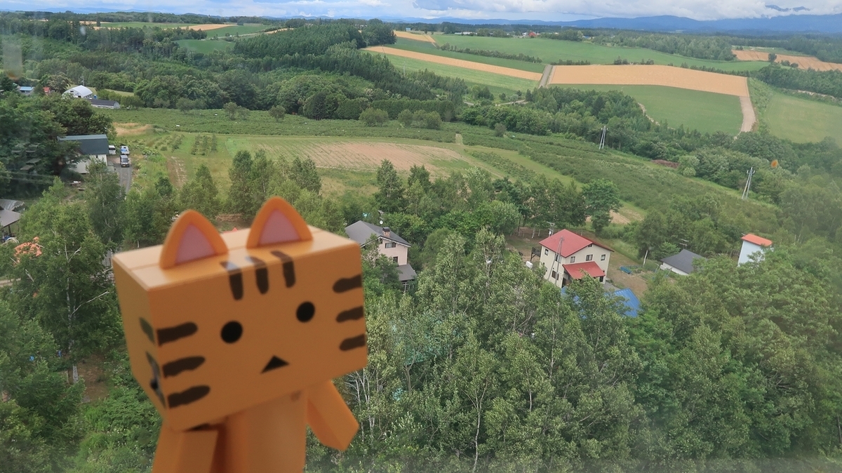 f:id:shirokumapanda:20190811010045j:plain