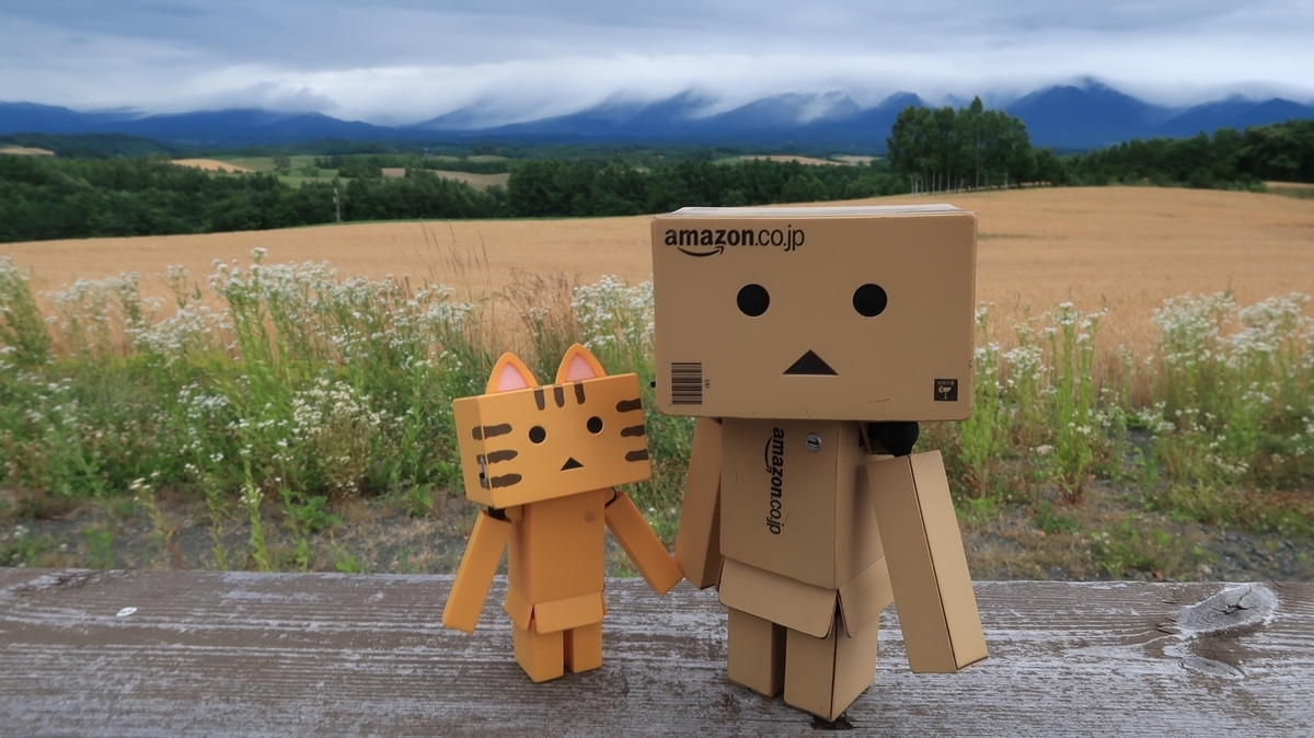 f:id:shirokumapanda:20190811010218j:plain