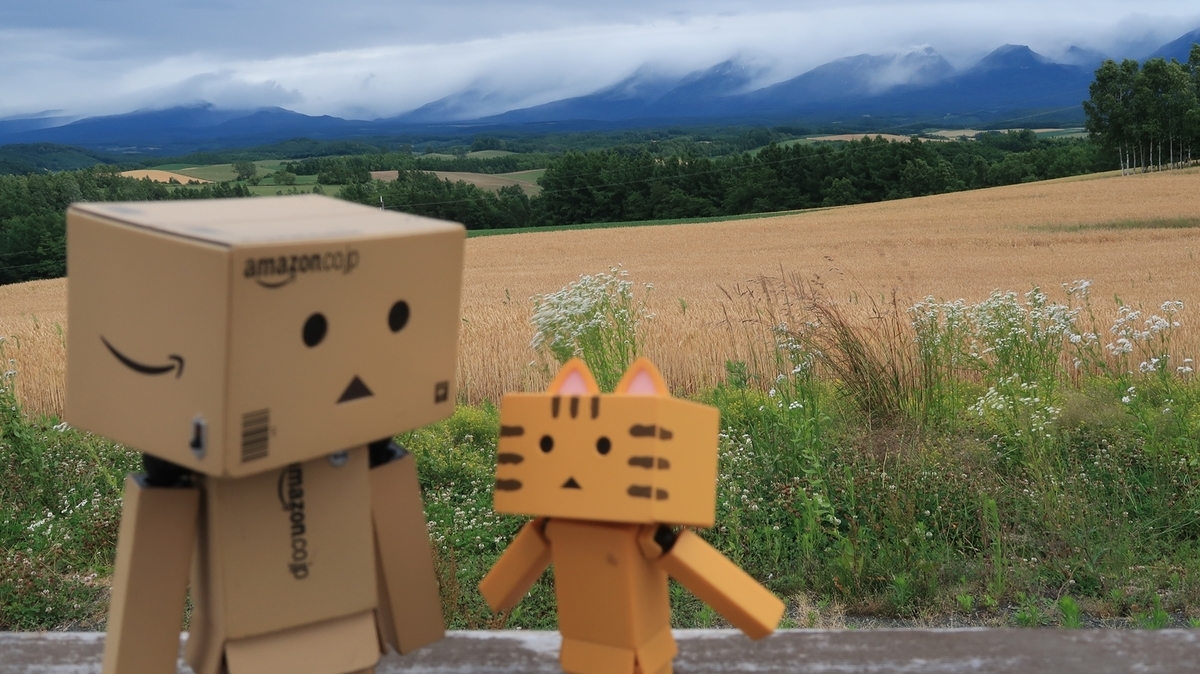 f:id:shirokumapanda:20190811010225j:plain