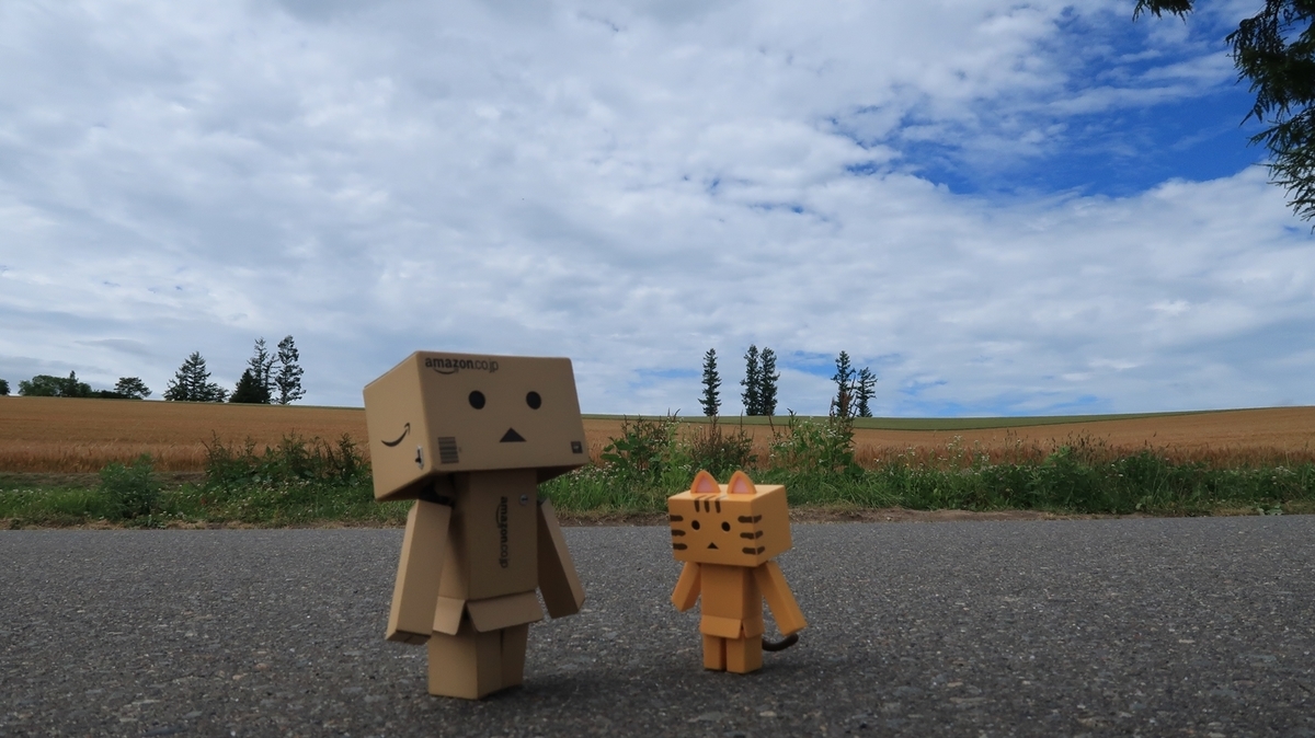 f:id:shirokumapanda:20190812015042j:plain