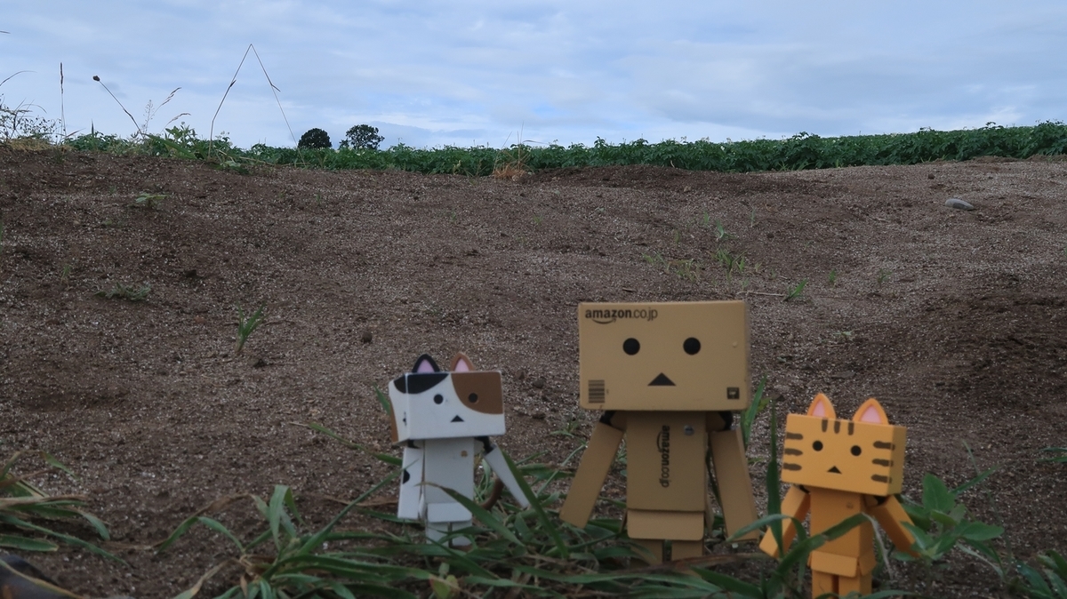 f:id:shirokumapanda:20190815065440j:plain