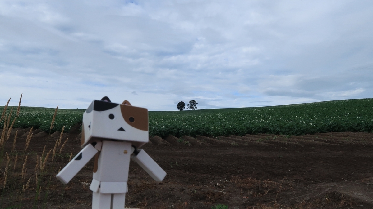f:id:shirokumapanda:20190815065445j:plain